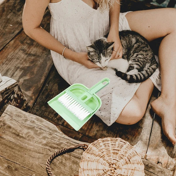 Small Broom Set Multi-function Dust Pan Hamster Cage Cleaning Tools